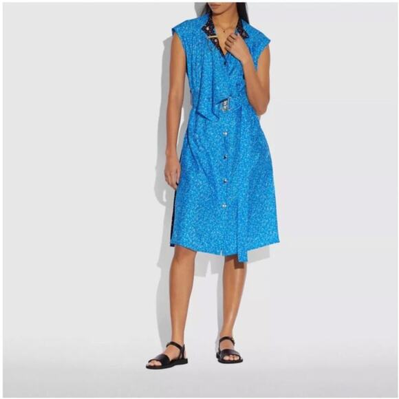 NWT Coach Dot Sleeveless Silk Belted A-line Dress Women's Size 6 - Picture 1 of 13